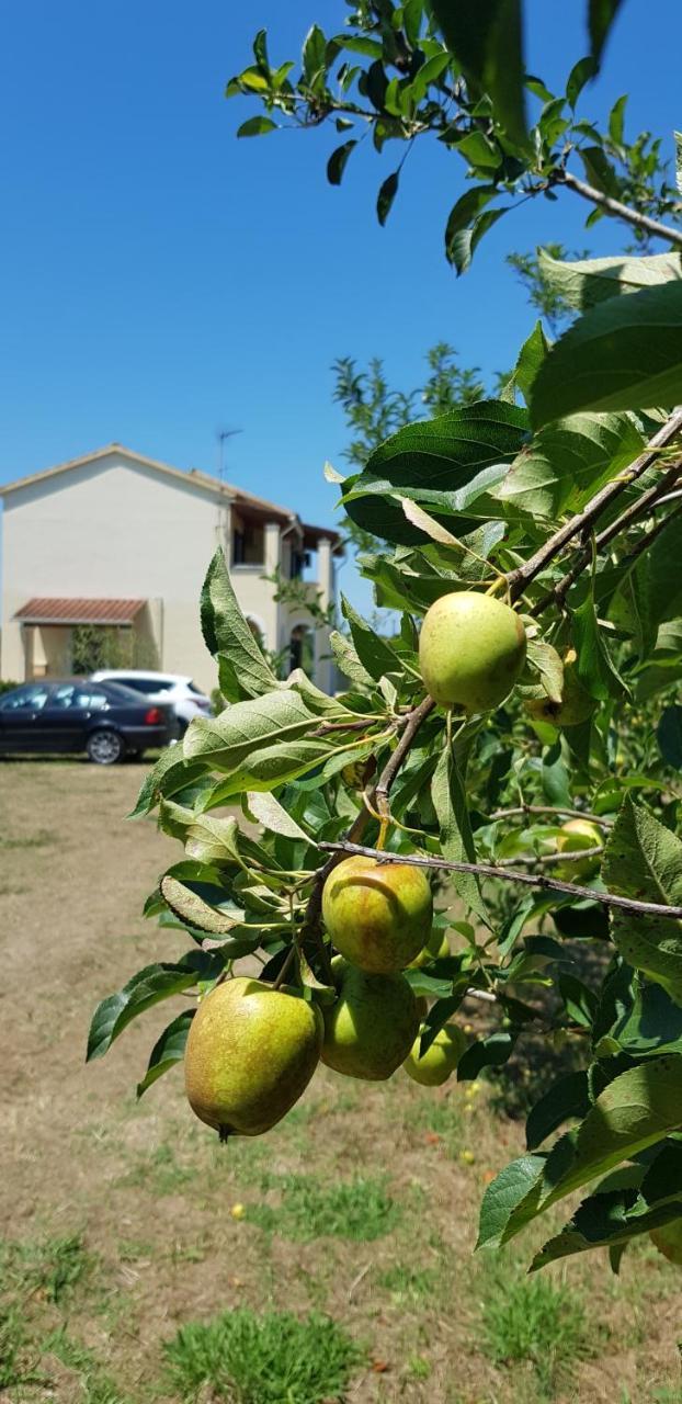 Georgia Roda (Corfu)